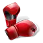 Boxing